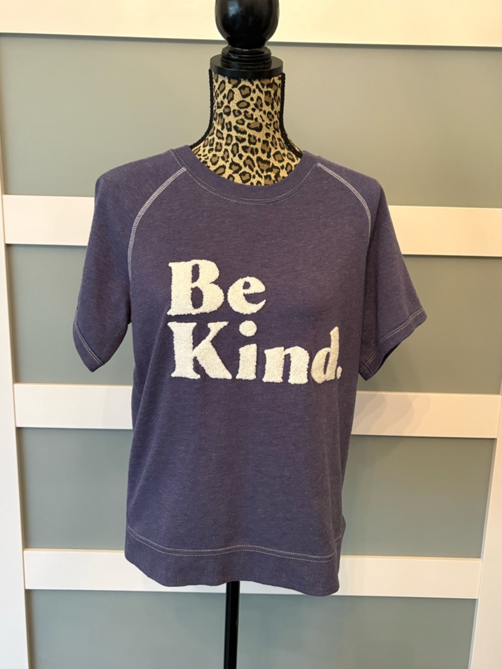 Grayson Threads Blue/Purple "Be Kind" Short Sleeve Sweatshirt
